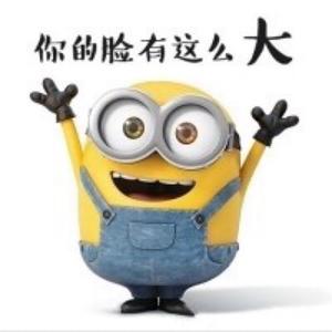 晨枫体育