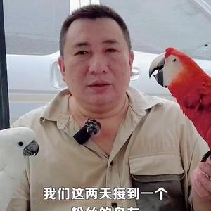 紫蓝鹦鹉宠物旗舰店