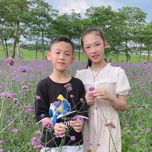 小糖糖