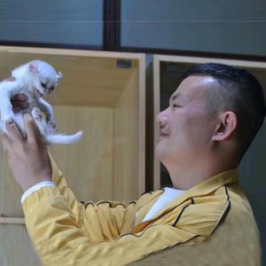 云哥说猫