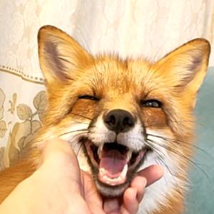 墨离公子