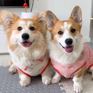 小天爱游戏