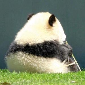远阳生鲜
