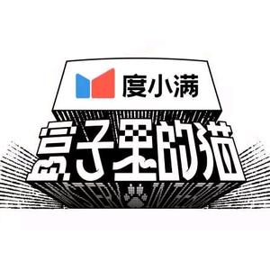 盒子里的猫