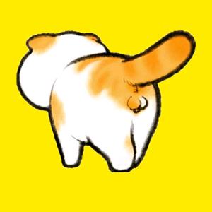 宠物来了