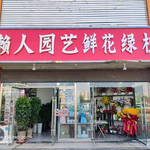 亳州懒人园艺鲜花店