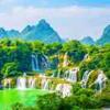 宏康蔷薇花