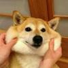 周工谦