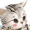 风歌