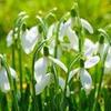 小叶私房菜