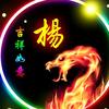 大灵寿辉哥