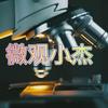微观小杰