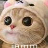 小时从