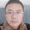 不爱生气的小马驹