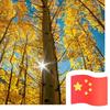 岁月淡然