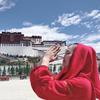 野百合趣旅行