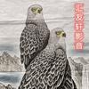 汇友轩影音