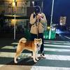 我慢我慢
