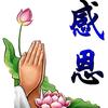自由 感悟
