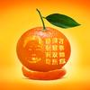 袁老师（满乡幻城)