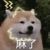 KD不到1，天天坐飞机