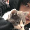 八怪表情