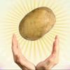 potato（接🥚中～