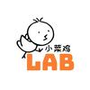 小菜鸡-Lab