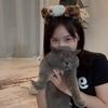 叨叨爱猫