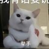 吃货小达人🍞