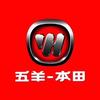 五羊-本田（兴义总店）