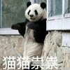 我呀体育人