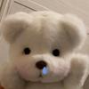 枝枝熊🐻
