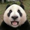 暴躁的名人堂（臭妹）