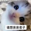 我喵不准