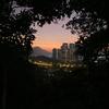 小占爱学习