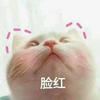 花花大王（美甲版）