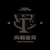 两颗金牙TEETHGOLD