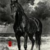 风馬