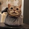 尾巴开饭了