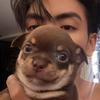 puppy🌟