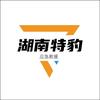 雷霆特豹救援