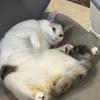 拾电测评