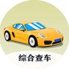 综合查车况1333