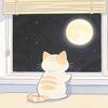 林晚安🌙（睡着已发布～）