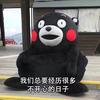 temu跨境电商007