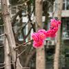 美丽阳光