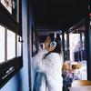 中年少女爱追剧