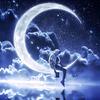 《深夜难眠看沙雕》