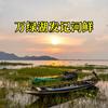 万绿湖发记河鲜